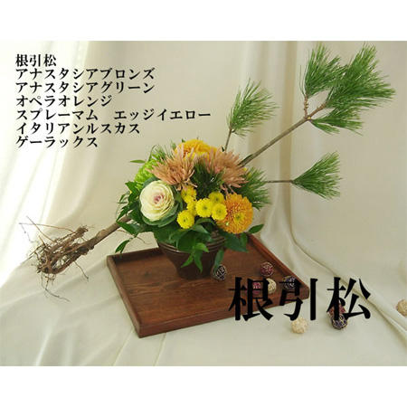 生花 早届け 5本売り根引き松 小 12 10届日限定 通販 はなどんやアソシエ 生花 早届け 5本売り根引き松 小 12 10届日限定 通販 はなどんやアソシエ