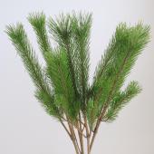 【生花/即納】◇スプレー若松　アレンジ規格　ミゾグチファーム