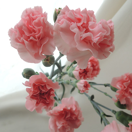 ⭐️K⭐️様専用 ラピスラズリ カービング 大きなハート 台座付き No.1167