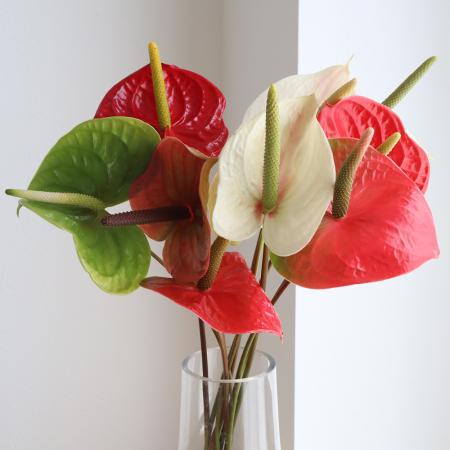 ☆mana92【お祝いの赤い花と青い壺】【キャメル色】おまとめ品 ピンク_