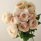 バラ缶 つむぎ メスガキちゃん / 扇つむぎ ( tmtm_1225 )の缶バッジ通販