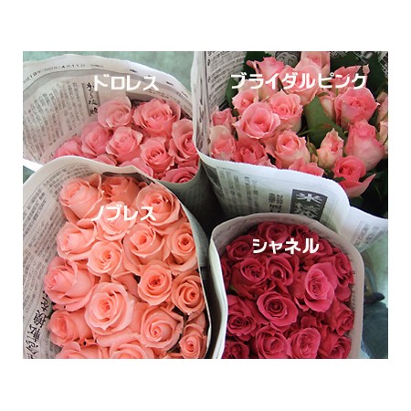 直前 バラ ブライダルピンク ピンク M 通販 はなどんやアソシエ 直前 バラ ブライダルピンク ピンク M 通販 はなどんやアソシエ