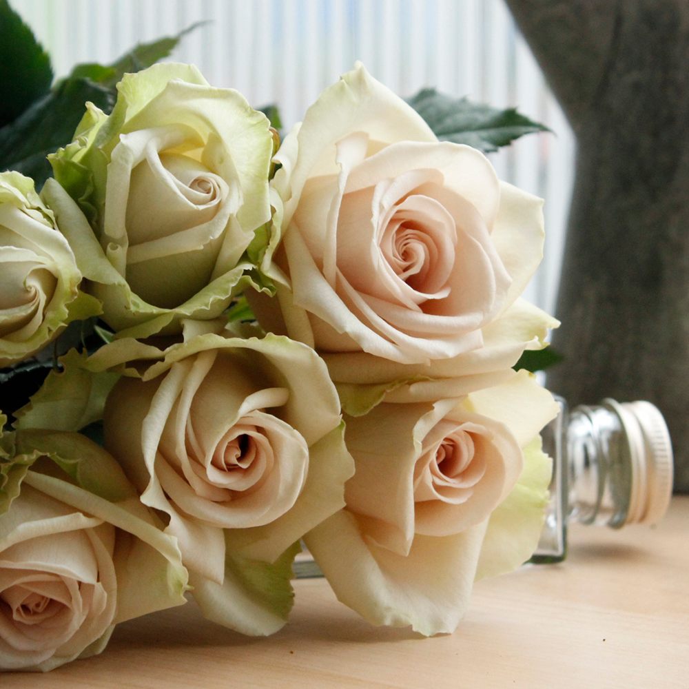 生花 バラ デザート ベージュ系 通販 はなどんやアソシエ 生花 バラ デザート ベージュ系 通販 はなどんやアソシエ