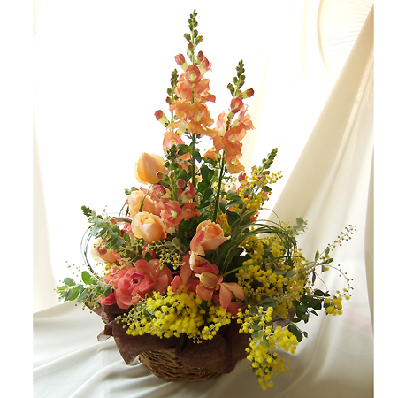 生花 バラ オークランド 淡オレンジ 通販 はなどんやアソシエ 生花 バラ オークランド 淡オレンジ 通販 はなどんやアソシエ