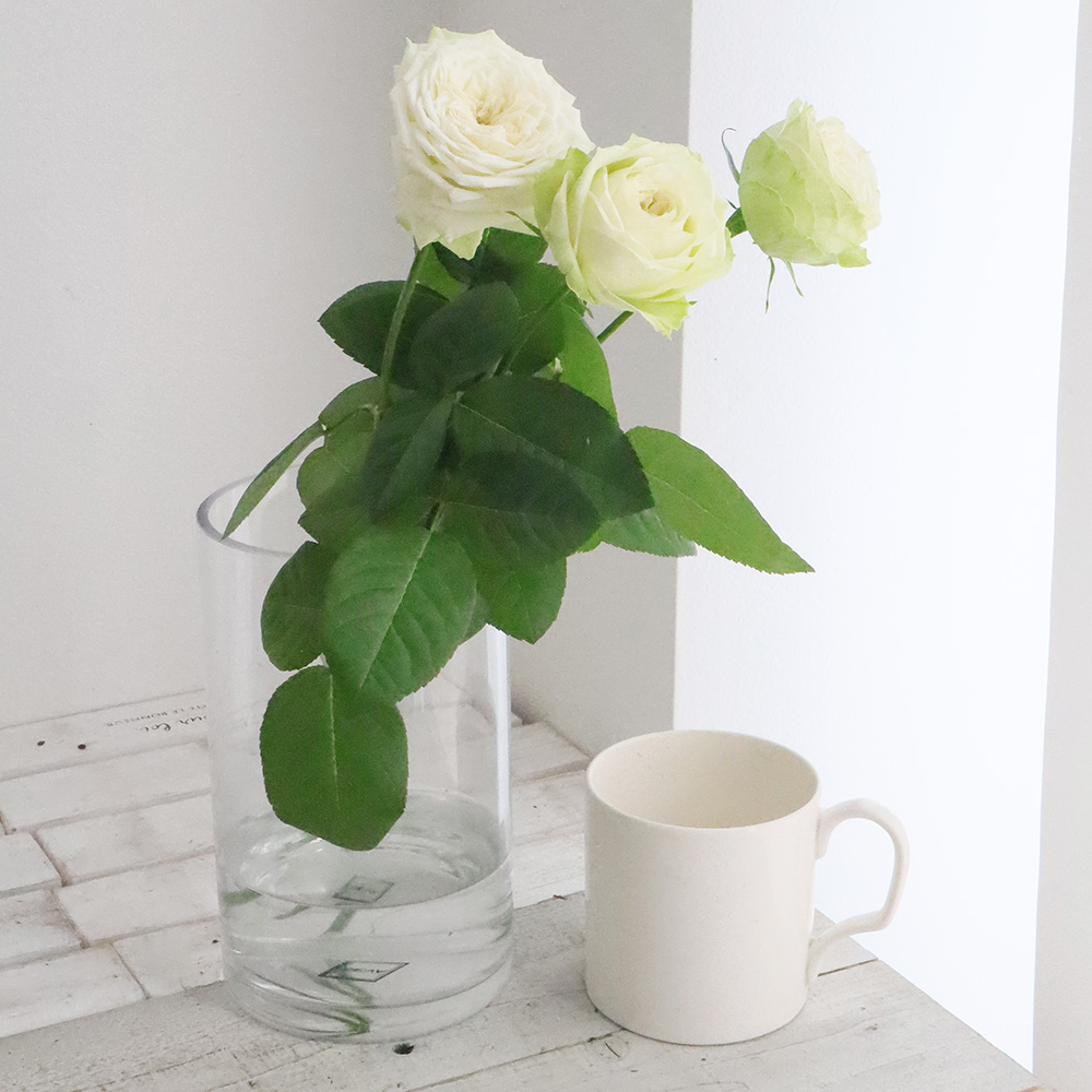 生花 バラ ヤギグリーン グリーン ロゼット咲き 40cm程度 Ita 今週のオトク 少量入荷 通販 はなどんやアソシエ 生花 バラ ヤギグリーン グリーン ロゼット咲き 40cm程度 Ita 今週のオトク 少量入荷 通販 はなどんやアソシエ