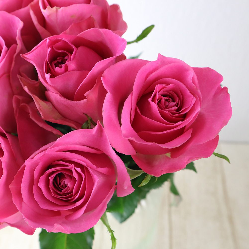 生花 バラ ブロッサムピンク 通販 はなどんやアソシエ 生花 バラ ブロッサムピンク 通販 はなどんやアソシエ