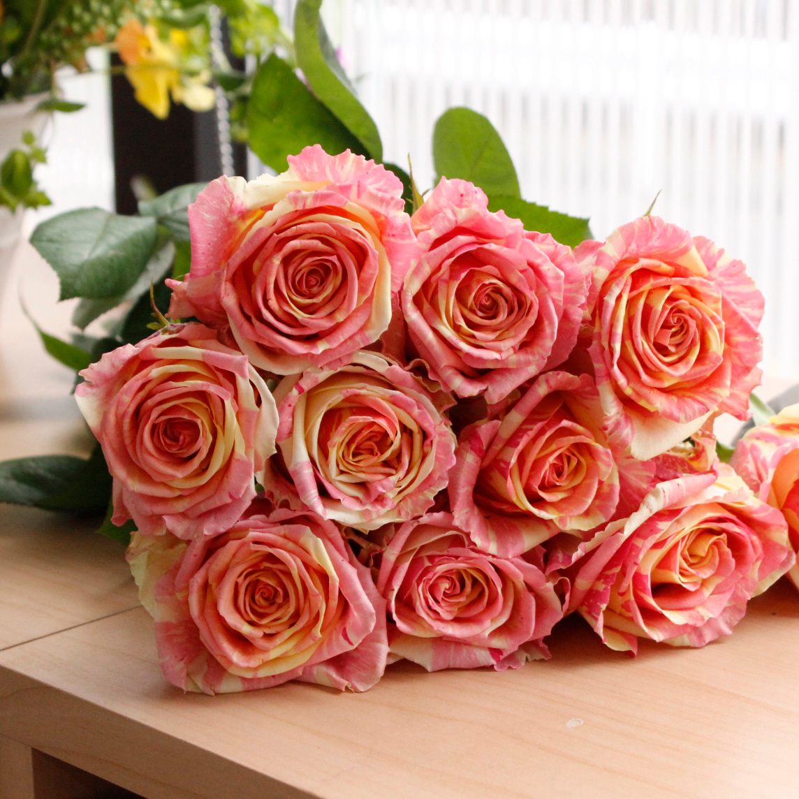 生花】バラ フィスタ(ピンク複色絞り) - 花材通販はなどんやアソシエ