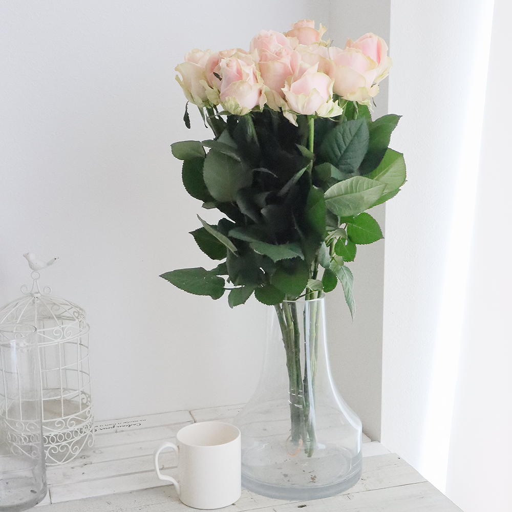 生花】60センチ指定バラ スイートアバランシェ(淡ピンク)【IT-23