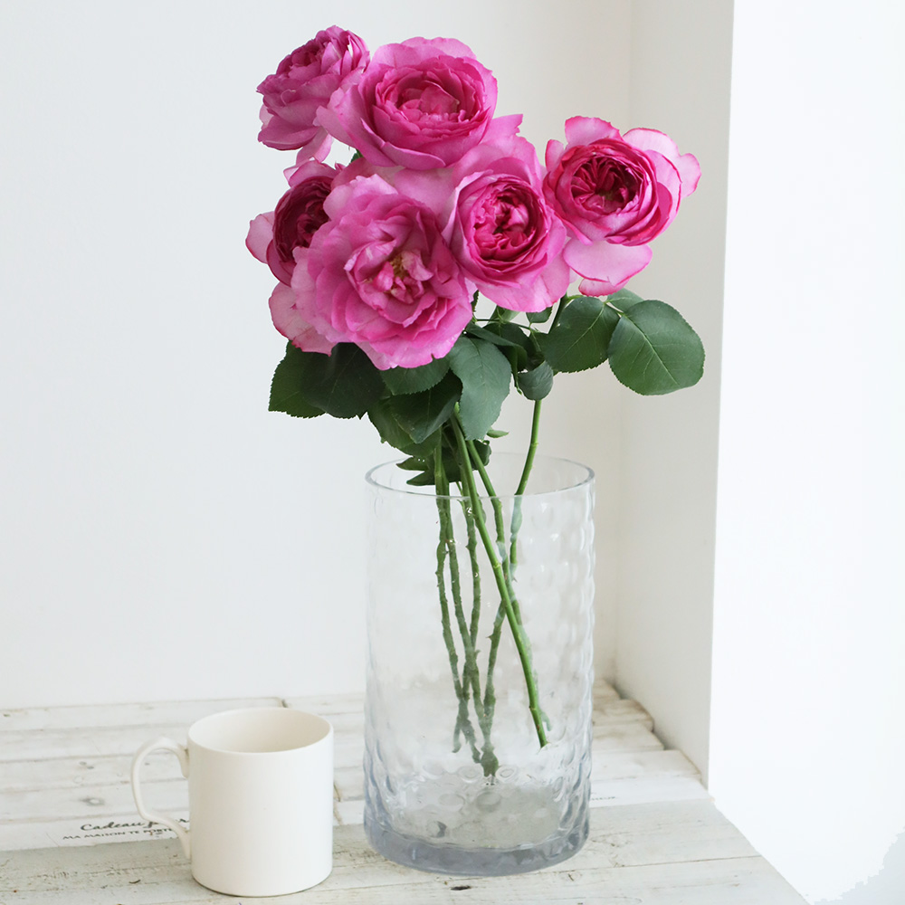 生花 バラ イブピアッチェ 濃いピンク 通販 はなどんやアソシエ 生花 バラ イブピアッチェ 濃いピンク 通販 はなどんやアソシエ