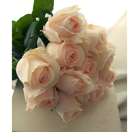 直前0406】【生花】バラ レディチャペル(淡ピンク カップ咲き) - 花材