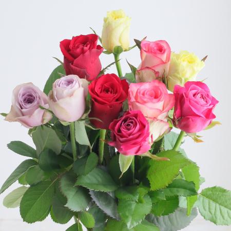 【生花】安間バラ園おまかせバラミックス　50cm【FJ】