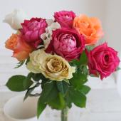 【生花】金田バラ園のバラ　ミックス　30ｃｍ 愛知県【OT】