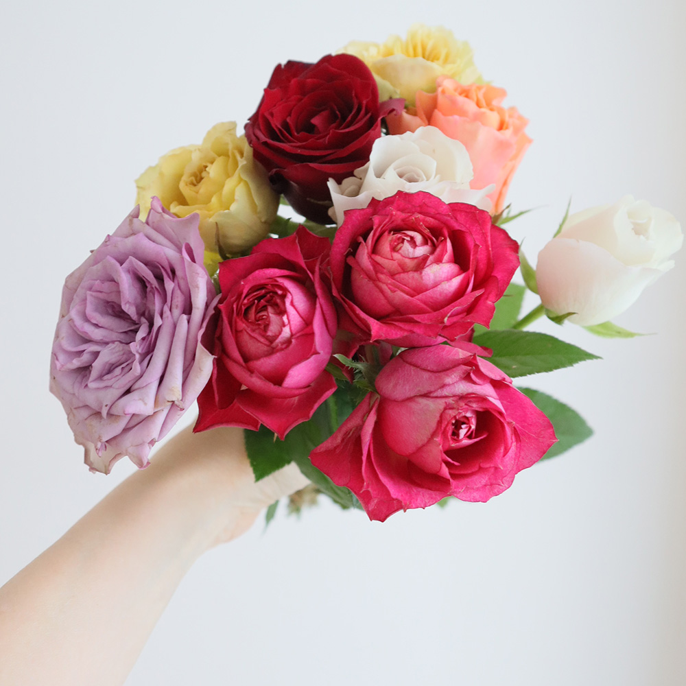 【生花】金田バラ園のバラ　ミックス　30cm 愛知県【OT】