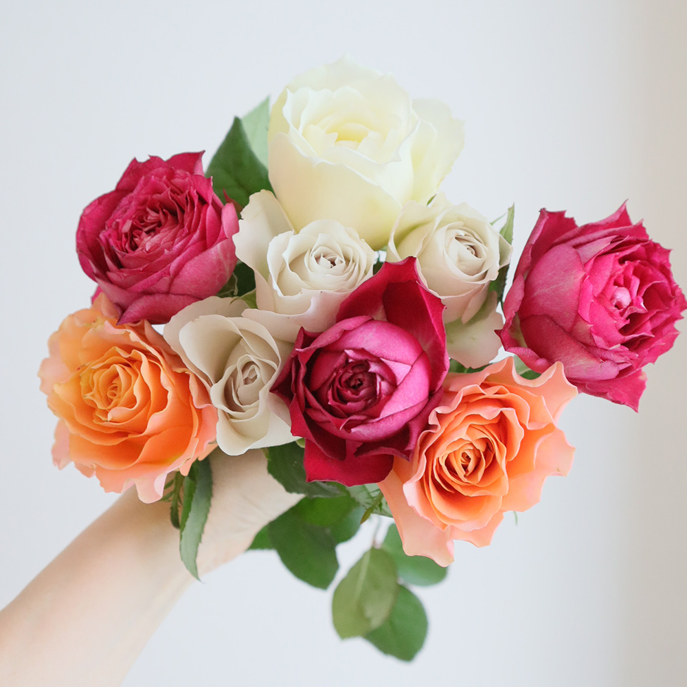 【生花】金田バラ園のバラ　ミックス　30cm 愛知県【OT】