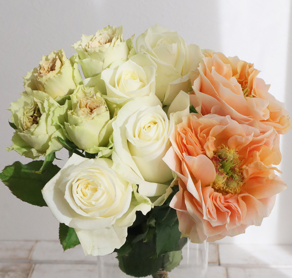 【生花】金田バラ園のバラ　ミックス　30cm 愛知県【OT】