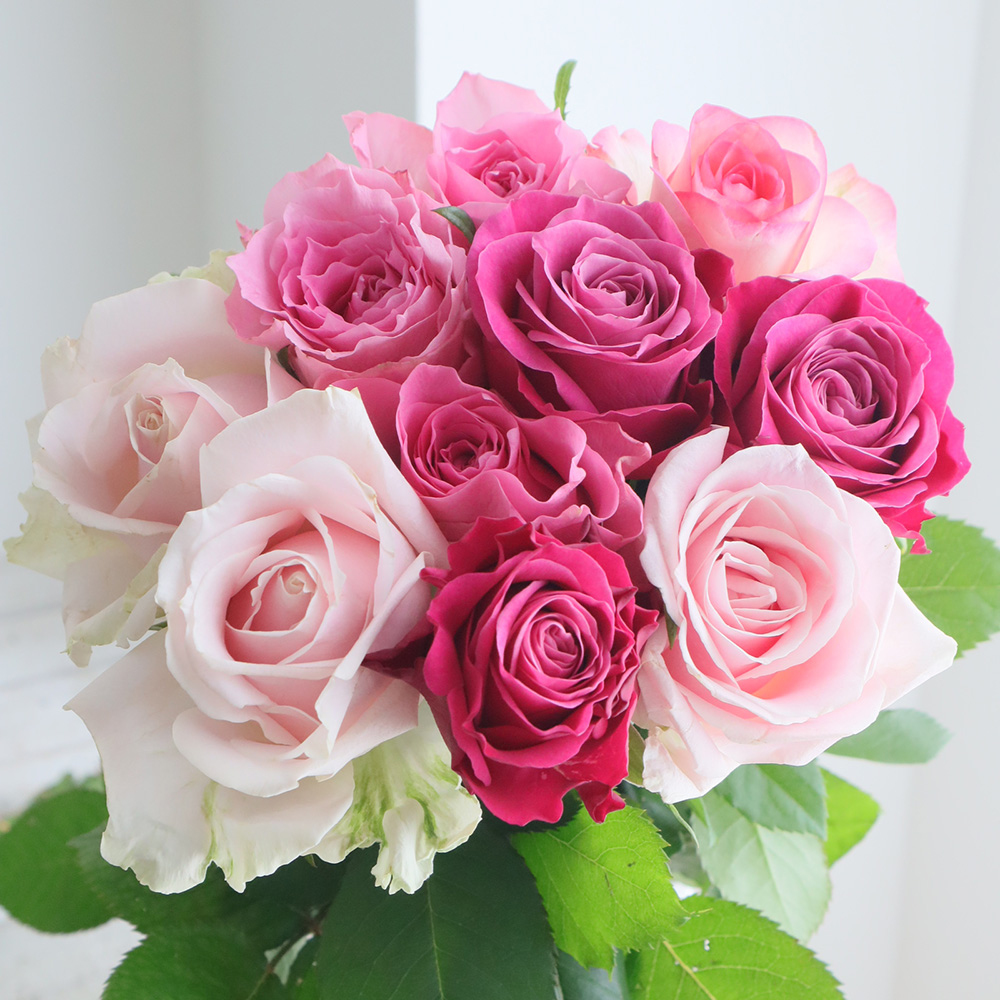 【生花】金田バラ園のバラ(ピンク&ローズミックス)40cm 愛知県【OT】