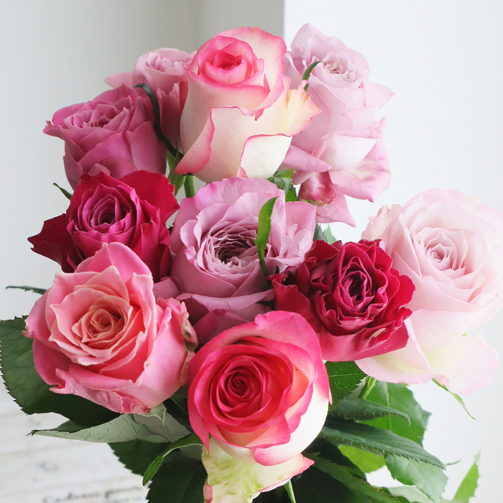 【生花】金田バラ園のバラ(ピンク&ローズミックス)40cm 愛知県【OT】