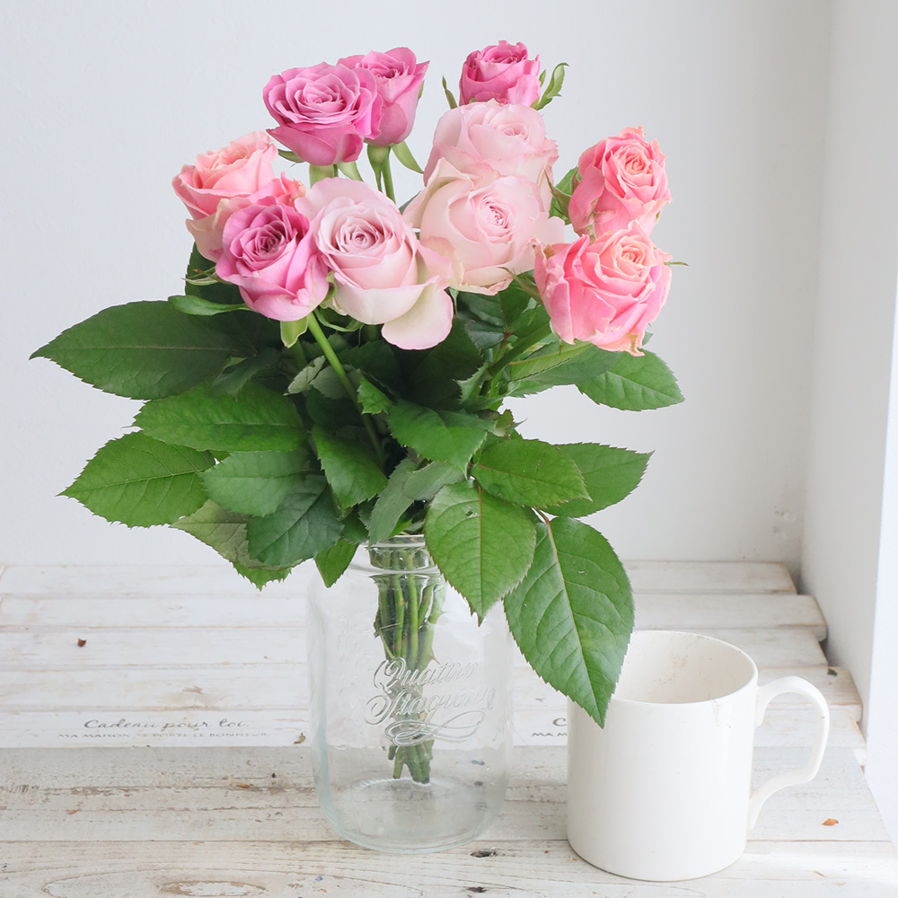 【生花】金田バラ園のバラ(ピンク&ローズミックス)40cm 愛知県【OT】