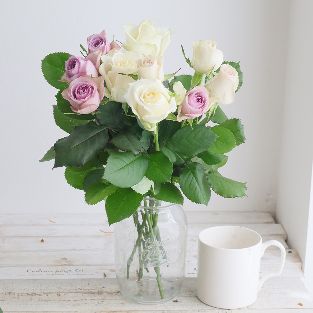 【生花】金田バラ園のバラ(ホワイト&ラベンダーミックス)40cm 愛知県【OT】