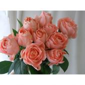 08直前】バラ ラ・シャンス(ピーチ)70cmひまわり農協【生花】 - 花材