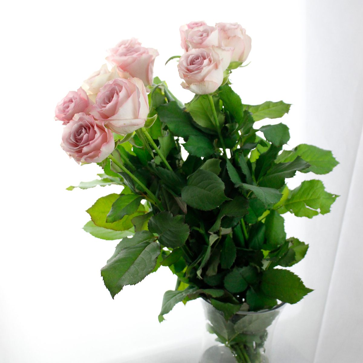 生花 バラ ラプソディ 淡いピンクラベンダー Ita 通販 はなどんやアソシエ 生花 バラ ラプソディ 淡いピンクラベンダー Ita 通販 はなどんやアソシエ