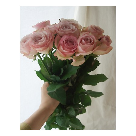生花 バラ ラプソディ 淡いピンクラベンダー Ita 通販 はなどんやアソシエ 生花 バラ ラプソディ 淡いピンクラベンダー Ita 通販 はなどんやアソシエ