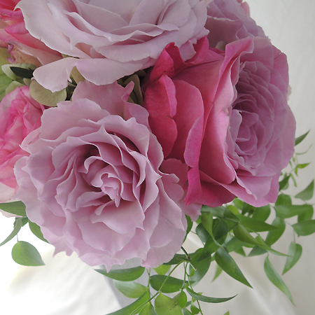 直前 大井農園 バラ ラ マリエ 淡いピンク 生花 通販 はなどんやアソシエ 直前 大井農園 バラ ラ マリエ 淡いピンク 生花 通販 はなどんやアソシエ