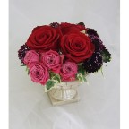直前 国産バラ サムライ08 赤 2lサイズ70cm 美品 生花 通販 はなどんやアソシエ 直前 国産バラ サムライ08 赤 2lサイズ70cm 美品 生花 通販 はなどんやアソシエ