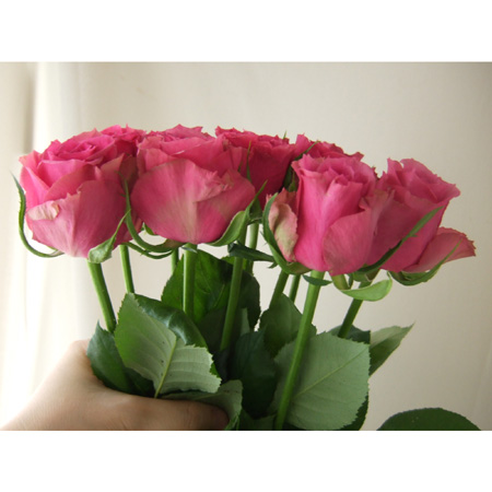 生花 Spot 直前 大輪おすすめ バラ モンド 通販 はなどんやアソシエ 生花 Spot 直前 大輪おすすめ バラ モンド 通販 はなどんやアソシエ