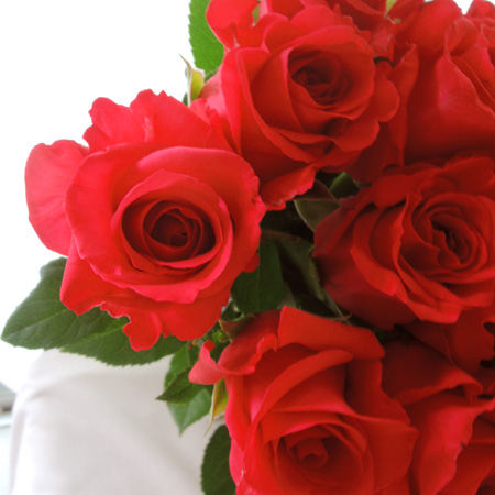 【直前1127】【生花】バラ　レッドコルベット(赤):今週のオトク!