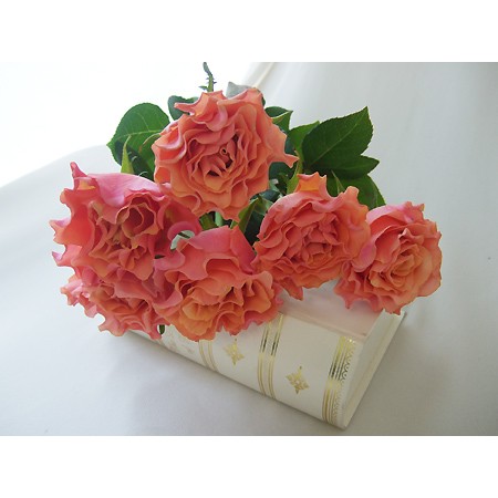 直前0422 バラ ブラッドピンク ピンキーオレンジ 通販 はなどんやアソシエ 直前0422 バラ ブラッドピンク ピンキーオレンジ 通販 はなどんやアソシエ