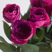 【今だけ価格！】 特大芸術写真  A2サイズ バラ 薔薇 ROSE 額付 直前!】バラ アートリーク(濃いローズピンク系)□今週のオトク