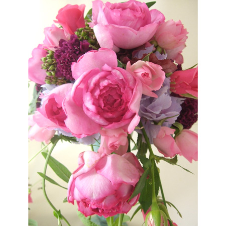 【生花】緊急ボリュームSALE★バラ　イブピアッチェ　40cm〜