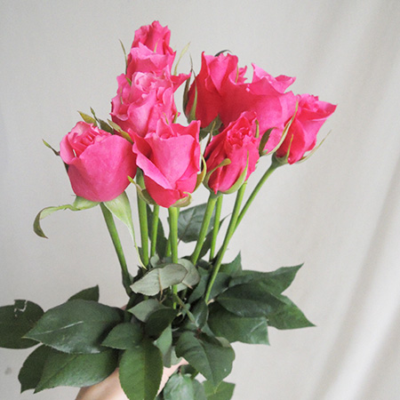 濃いピンクの造花　80本 直前!!!】バラおまかせ 濃いピンク オール4ラブなど【生花