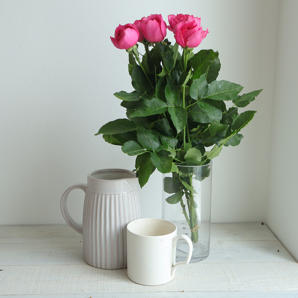 直前 生花 バラ ブルジョア ダークローズピンク カップ咲 40cm程度 今週のオトク 通販 はなどんやアソシエ 直前 生花 バラ ブルジョア ダークローズピンク カップ咲 40cm程度 今週のオトク 通販 はなどんやアソシエ