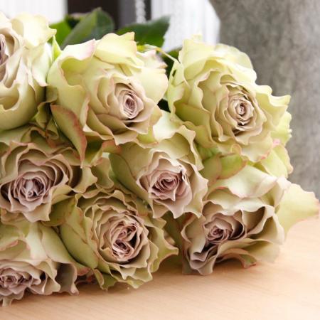 生花 バラ ラピスヴェール 40cm程度 入荷極少量 通販 はなどんやアソシエ 生花 バラ ラピスヴェール 40cm程度 入荷極少量 通販 はなどんやアソシエ