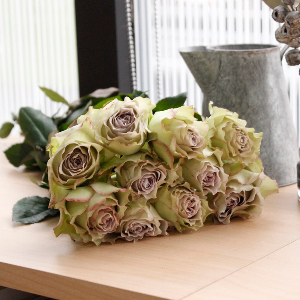 【08直前FJ】バラ　ラピスヴェール　40cm程度 浅野園芸【生花】