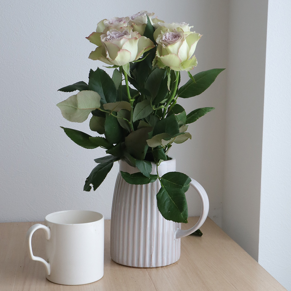 【直前】バラ　ラピスヴェール　おやま【生花】