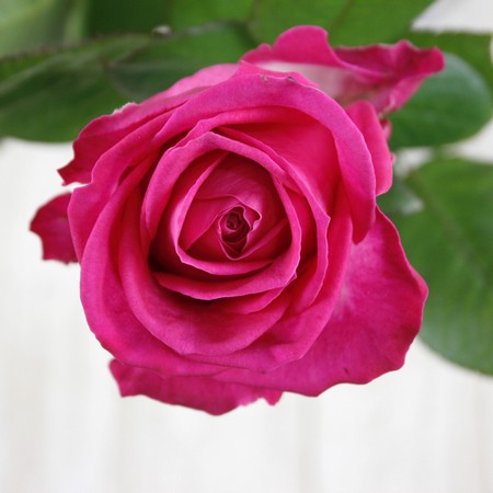 美品 k10 ローズ ブレスレット 薔薇 アヴァランチ コンビネーション 美品 k10 ローズ ブレスレット 薔薇 アヴァランチ コンビネーション