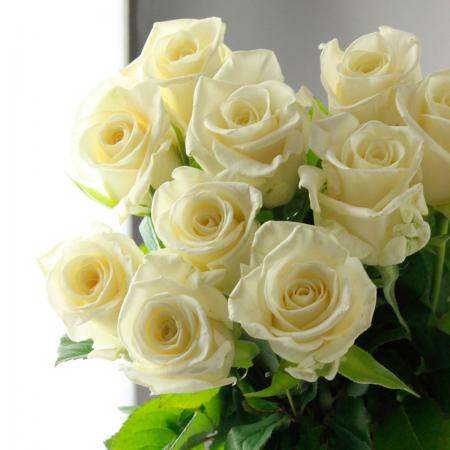 生花】バラ バニラアイス(オフホワイト)おやま 40cm程度 □今週の