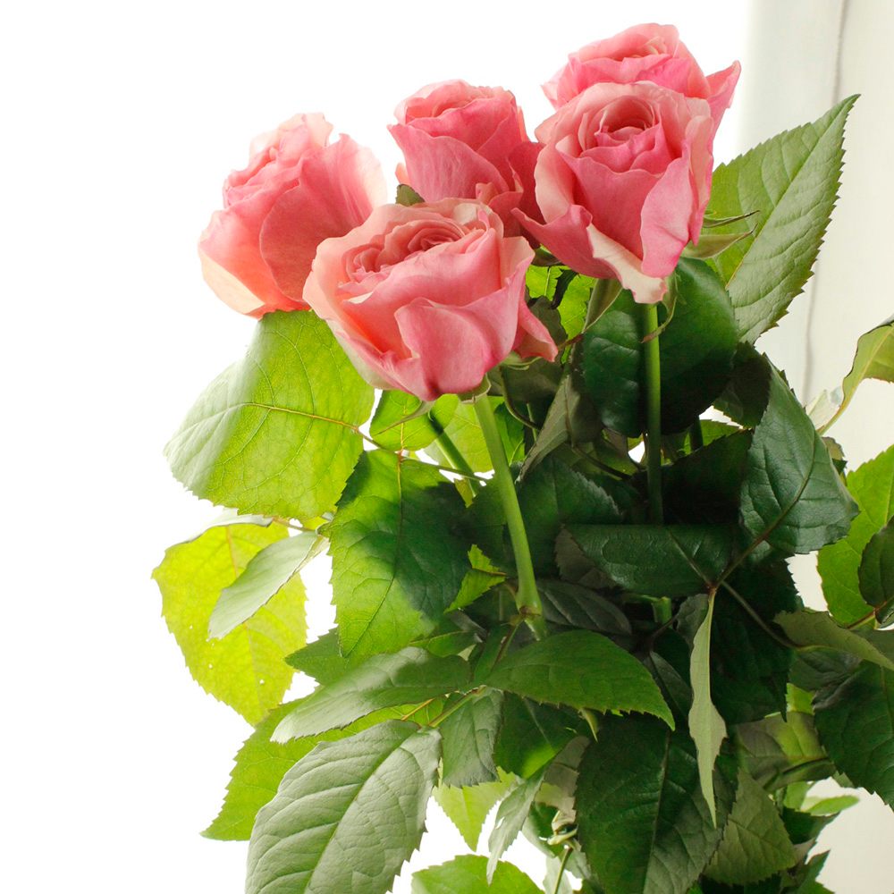 ヴィクトリアンプリント薔薇の４点盛りだくさんお楽しみ袋ペーパーレターラック＆籠等 ヴィクトリアンプリント薔薇の4点盛りだくさんお楽しみ袋ペーパー