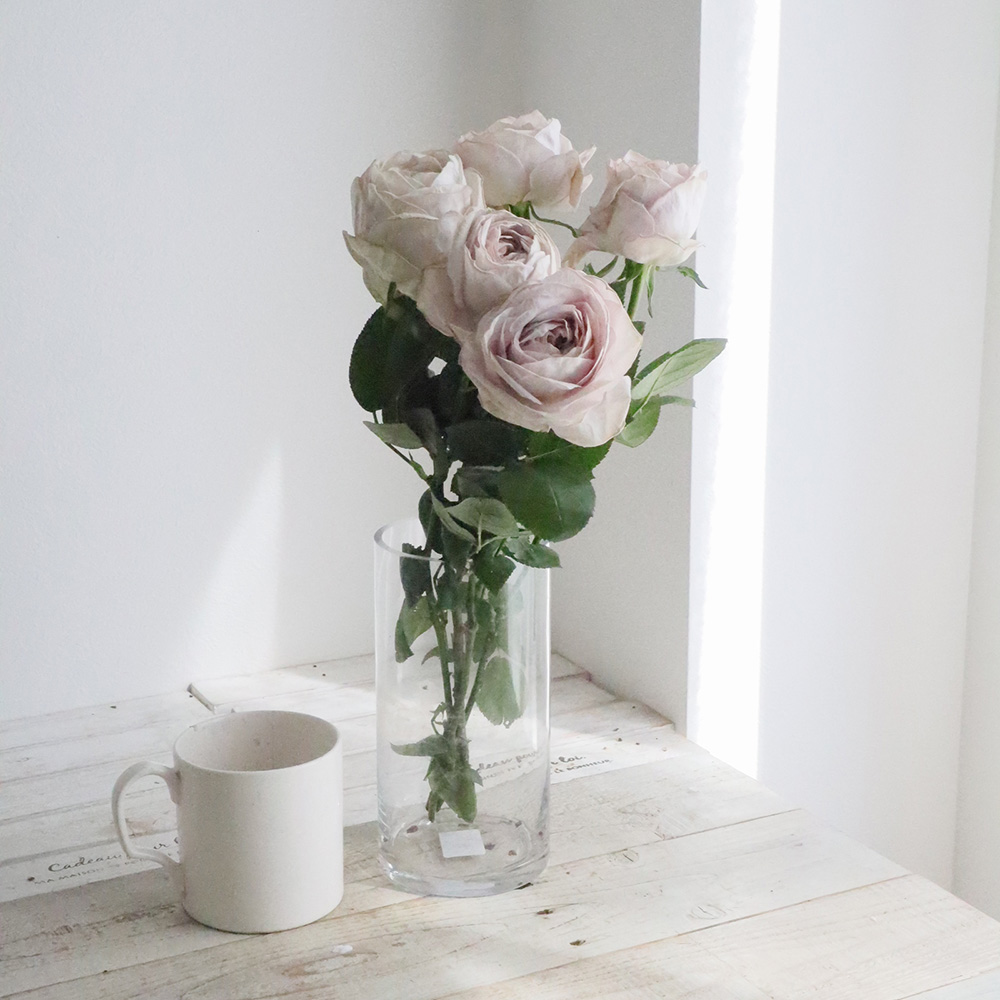 08直前 バラ シュエルヴァーズ ブルームタイプ 40cm遠州夢咲 通販 はなどんやアソシエ