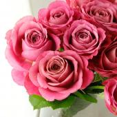 08直前SE】バラ バイアモーメント30cm 堀木バラ園【生花】 - 花材通販