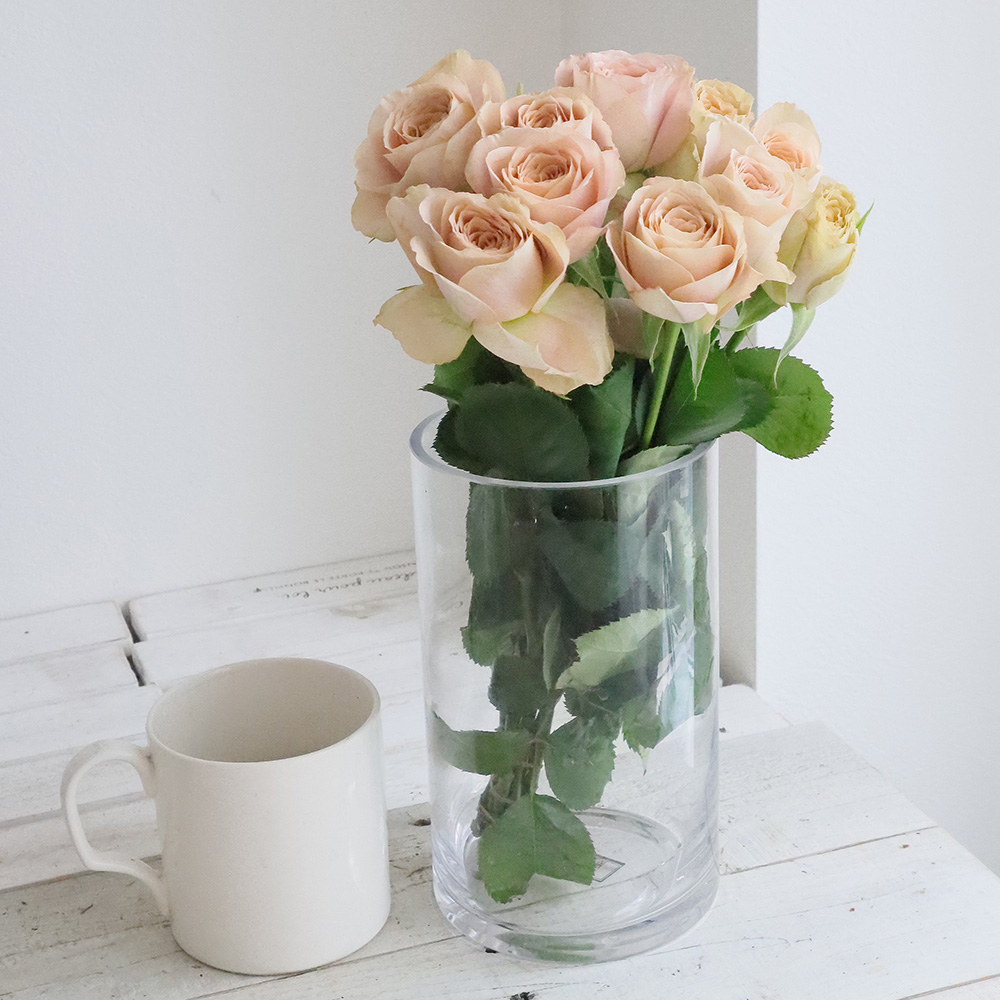 【08直前SE】バラ　ワンダーウォール　30cm　堀木バラ園【生花】