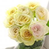 08直前SE】バラ エヴァーロング 堀木バラ園 40cm【生花】 - 花材通販は