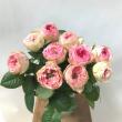 【08直前!!】バラ　テアトロ(ピンク)70cm　栃木おやま【生花】