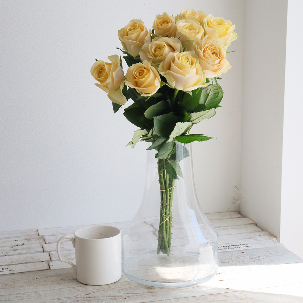 【直前】【生花】バラ　サマーシャイン+(黄色系)40CM- 金田バラ園　【OT】