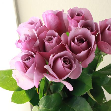 旧lycee 花セット289種類【バラ売り可】