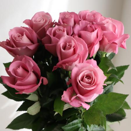 生花】バラ ダマスク+ 國枝バラ園 60センチ - 花材通販はなどんやアソシエ