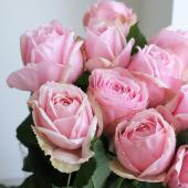 薔薇生花 サャンティ 薔薇生花 サャンティ 楽天市場】【予約】 バラ苗